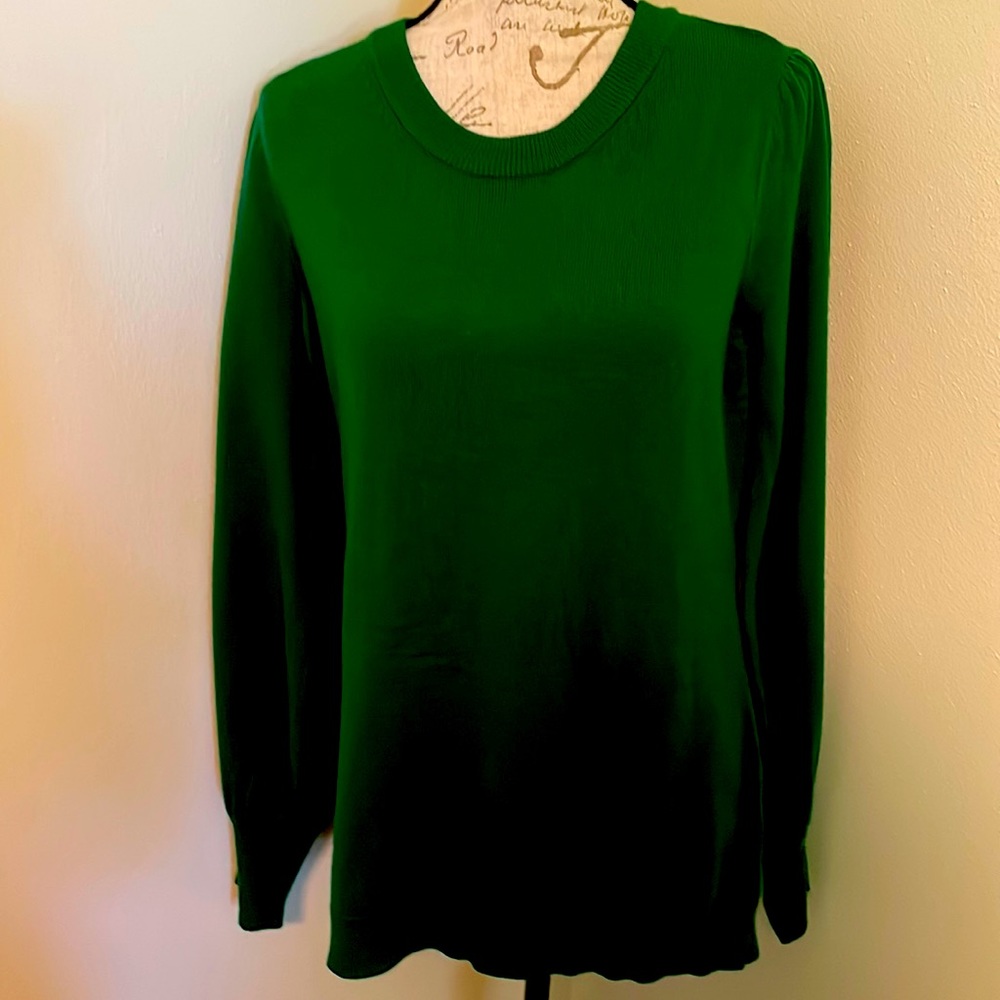New York And Company Green Sweater Large NWOT
